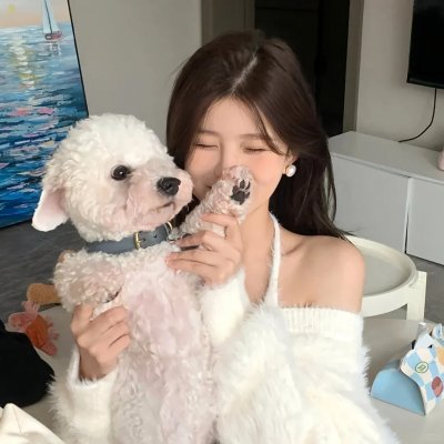 红白黑黄第七季